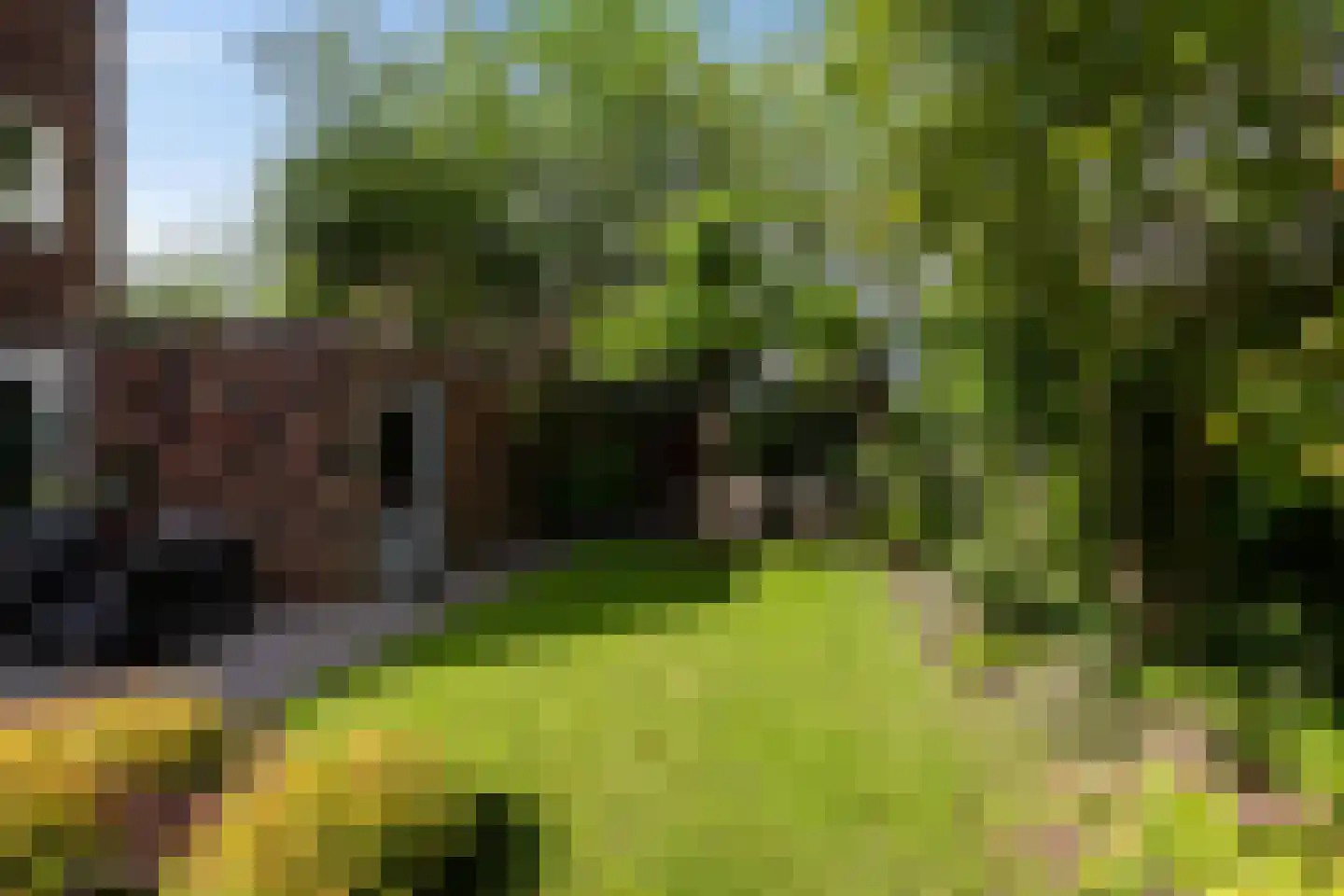 Gregoriusstraat 10 Groningen thumbnail 37