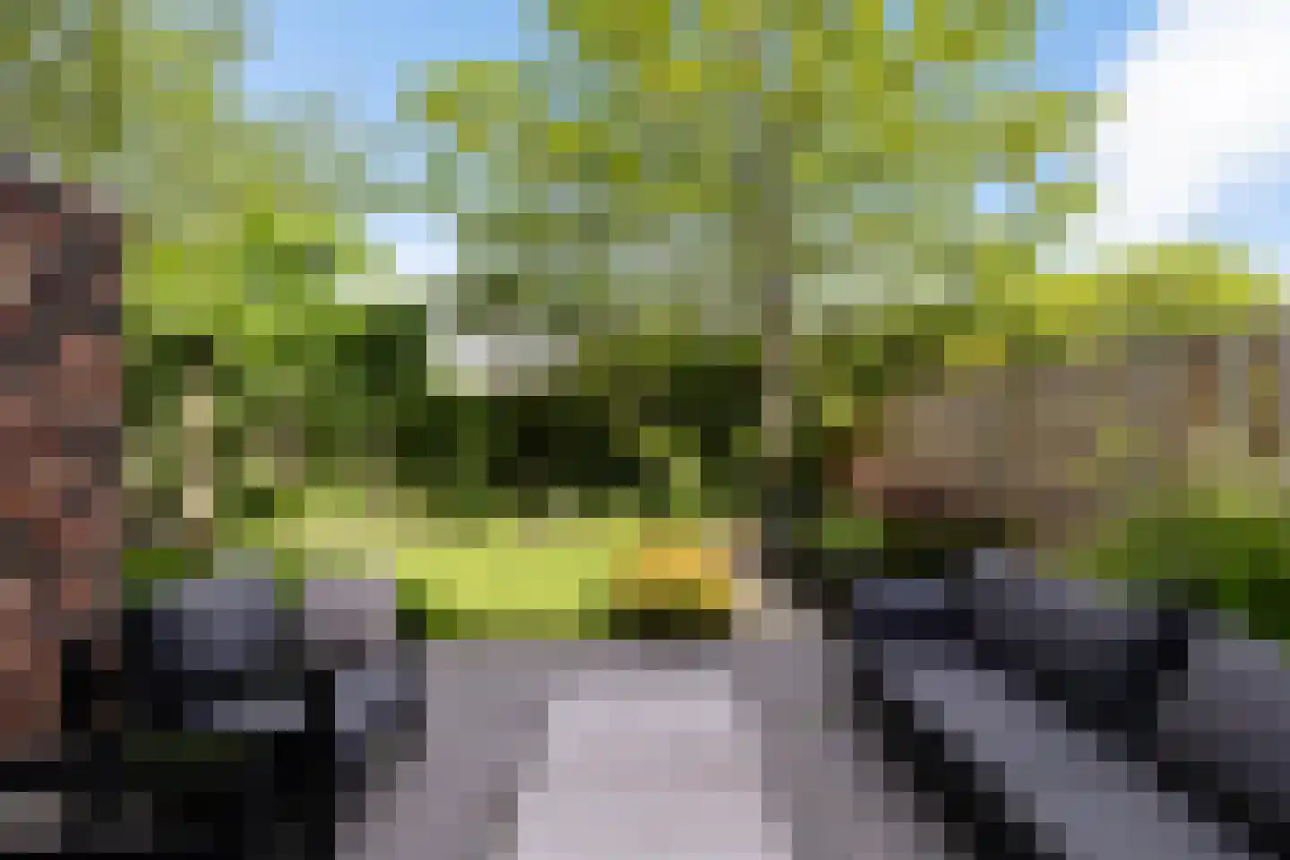 Gregoriusstraat 10 Groningen thumbnail 38