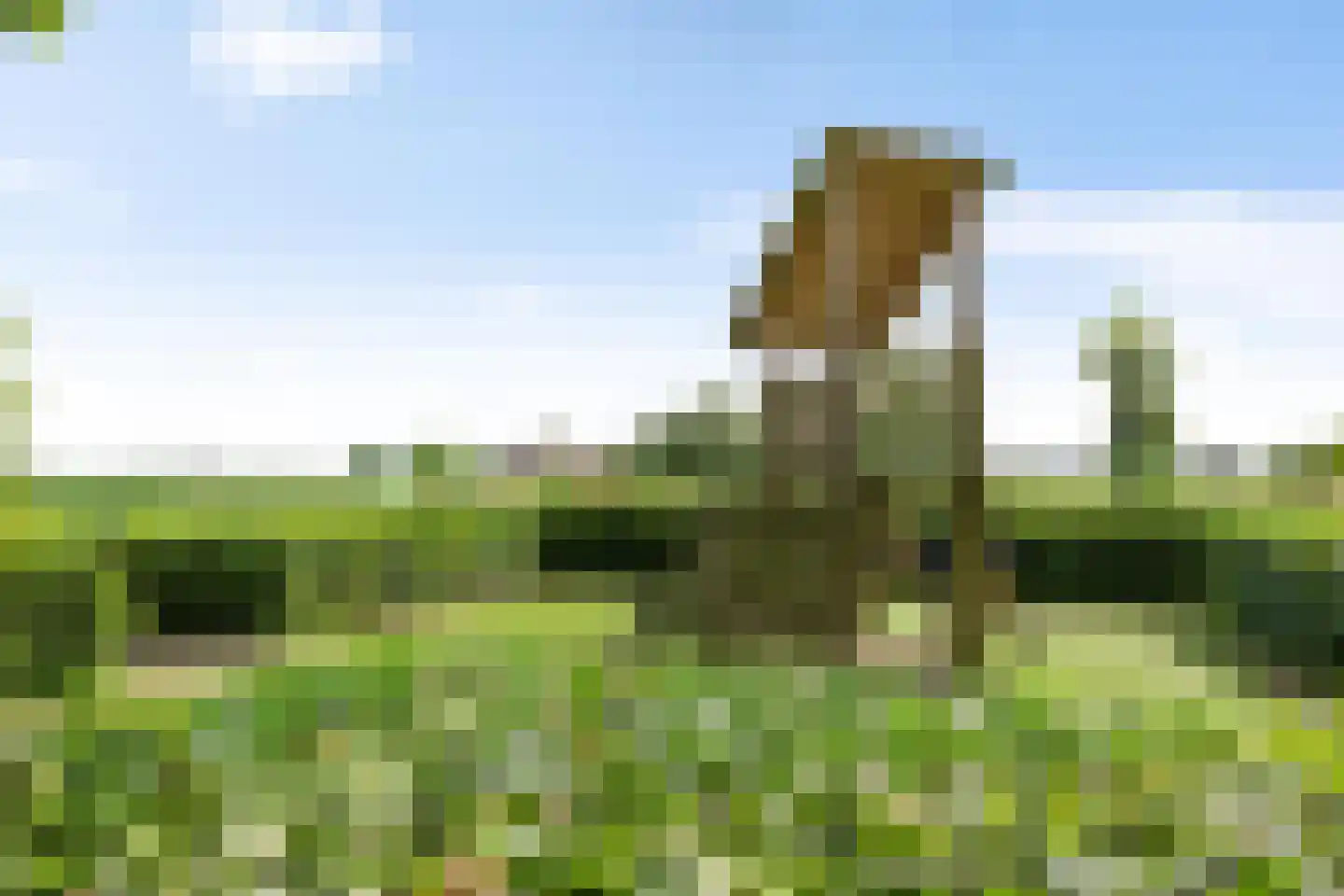 Gregoriusstraat 10 Groningen thumbnail 40