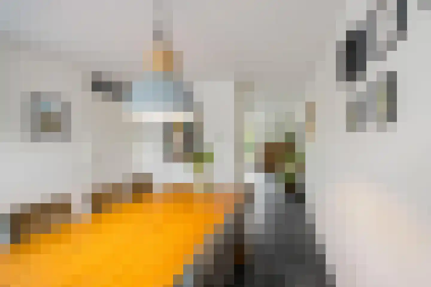 Gregoriusstraat 10 Groningen thumbnail 7