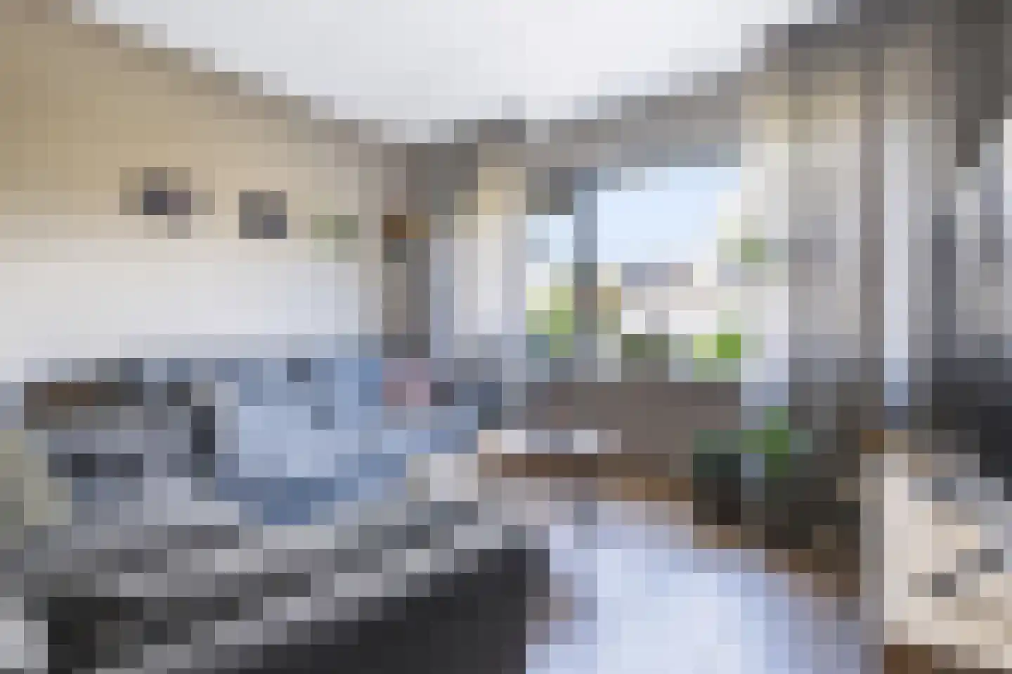 Greind 11 Nieuw-Amsterdam thumbnail 10