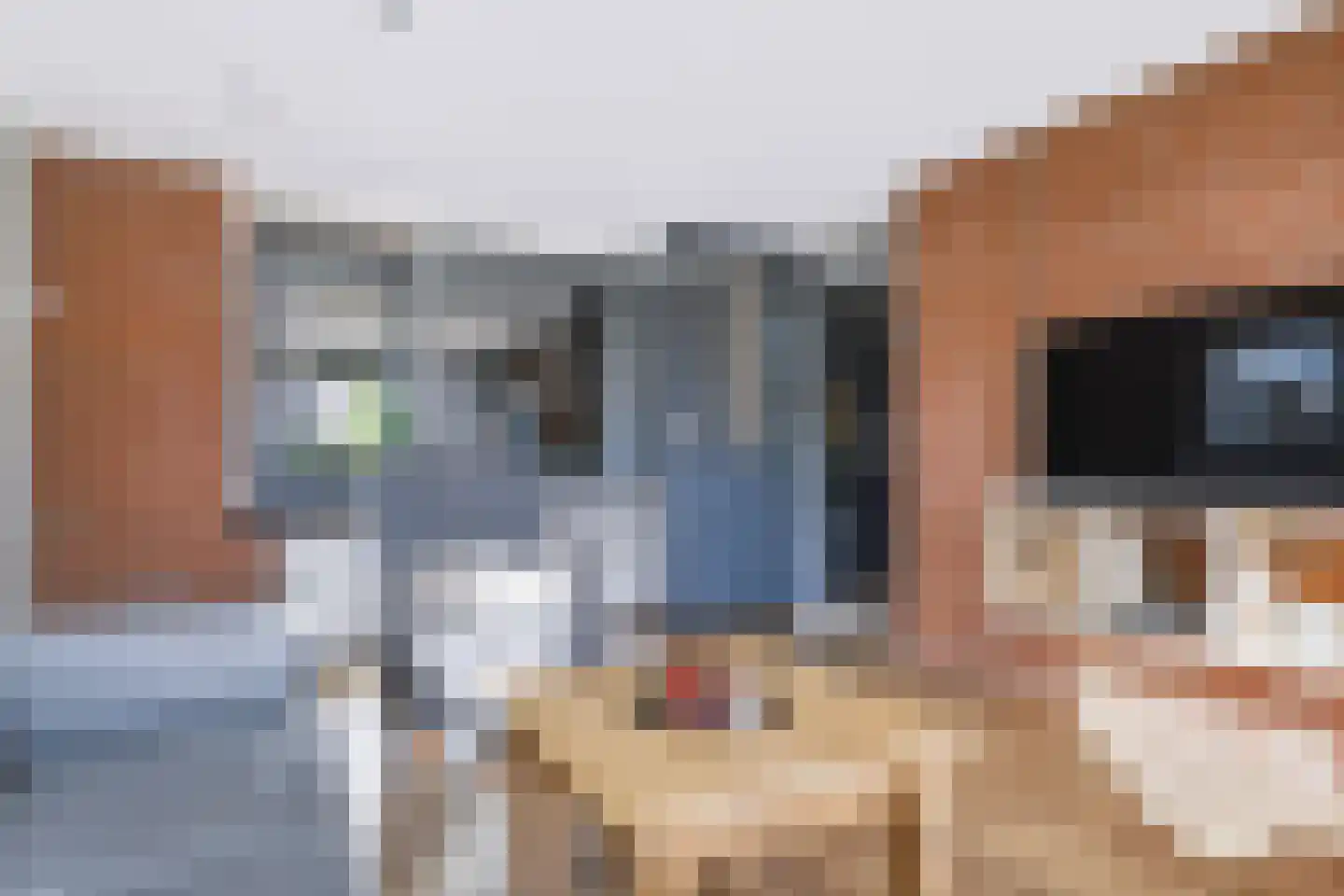 Greind 11 Nieuw-Amsterdam thumbnail 14