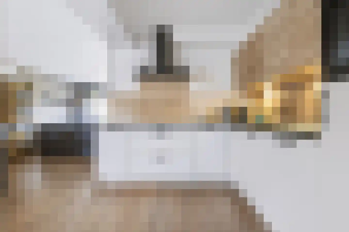 Greind 11 Nieuw-Amsterdam thumbnail 5