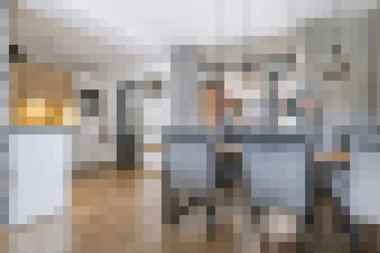 Greind 11 Nieuw-Amsterdam thumbnail 6