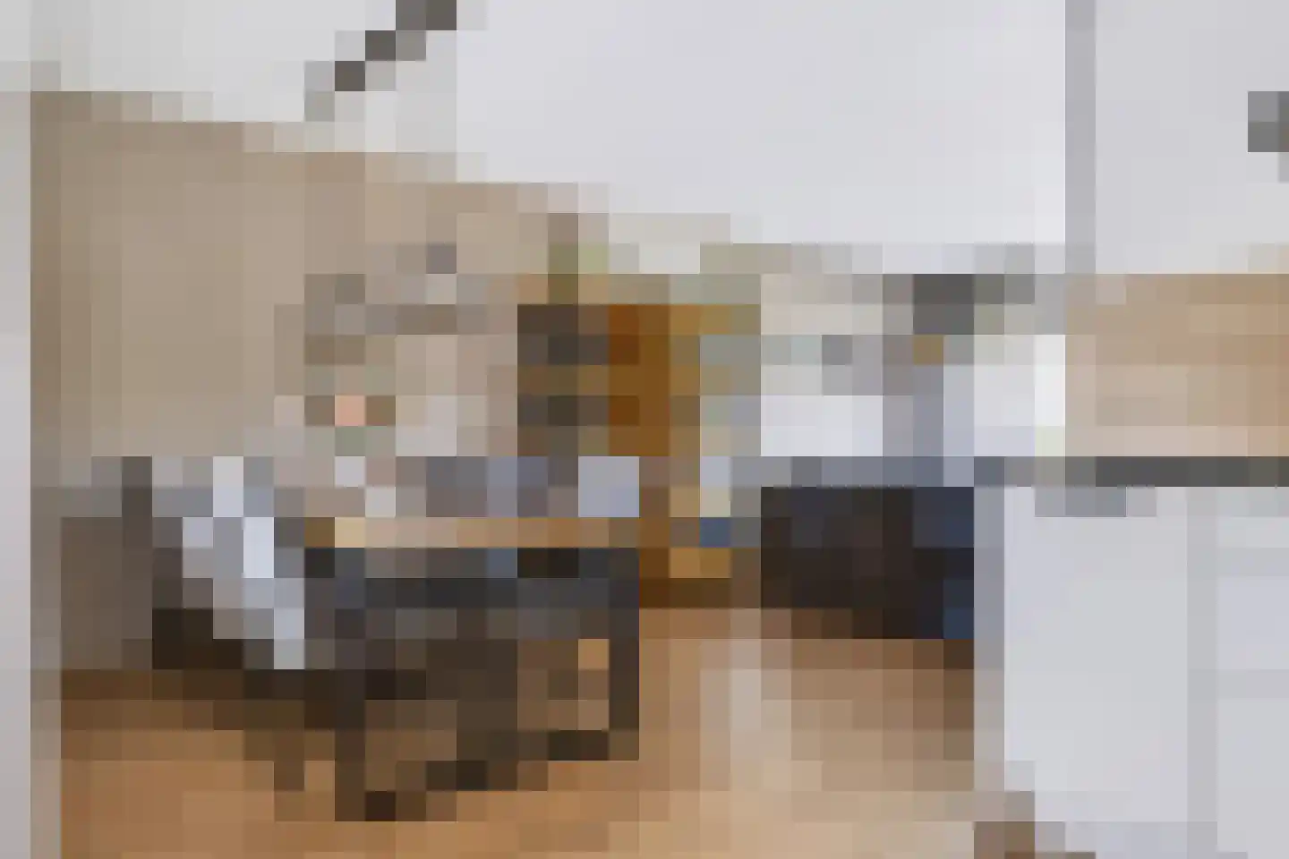 Greind 11 Nieuw-Amsterdam thumbnail 8