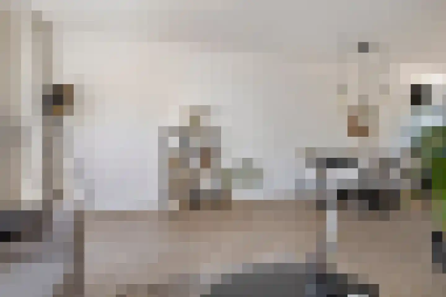 Greinerstraat 24 Groningen thumbnail 17