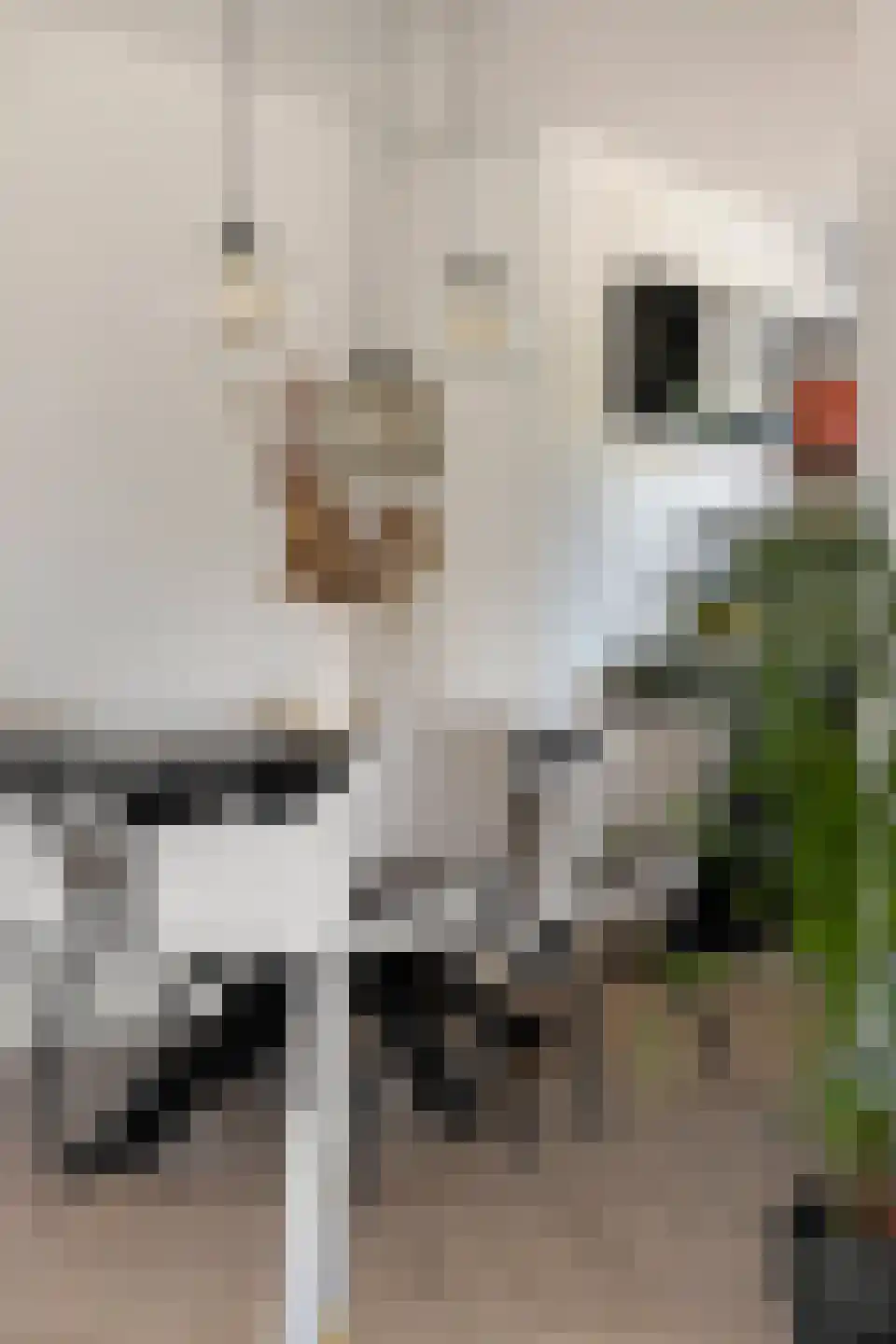 Greinerstraat 24 Groningen thumbnail 18