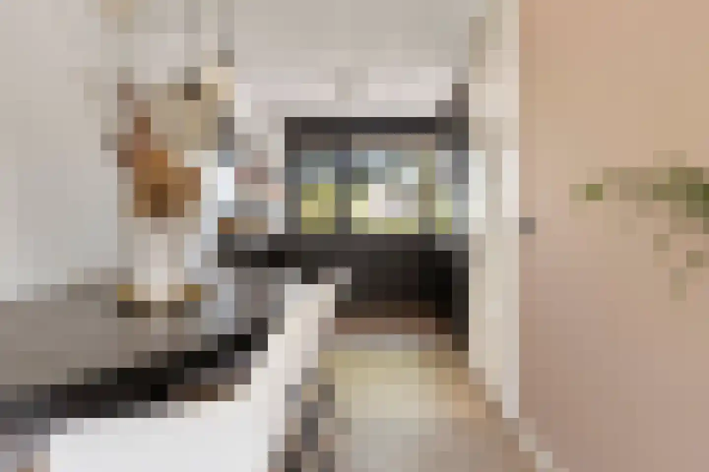 Greinerstraat 24 Groningen thumbnail 20