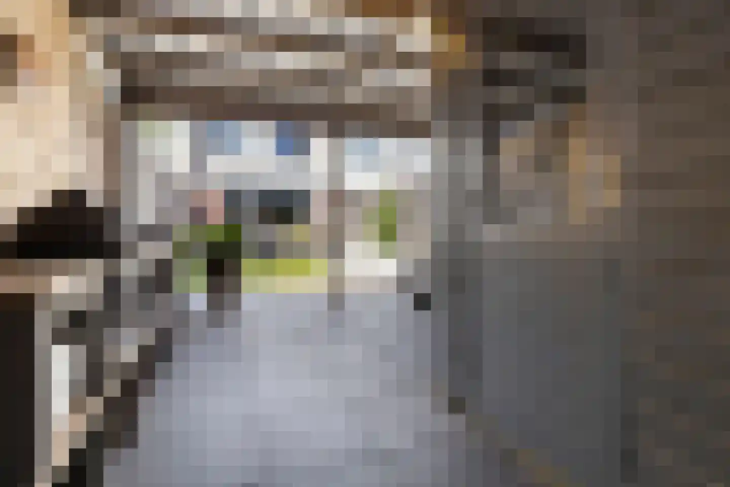 Greinerstraat 24 Groningen thumbnail 35