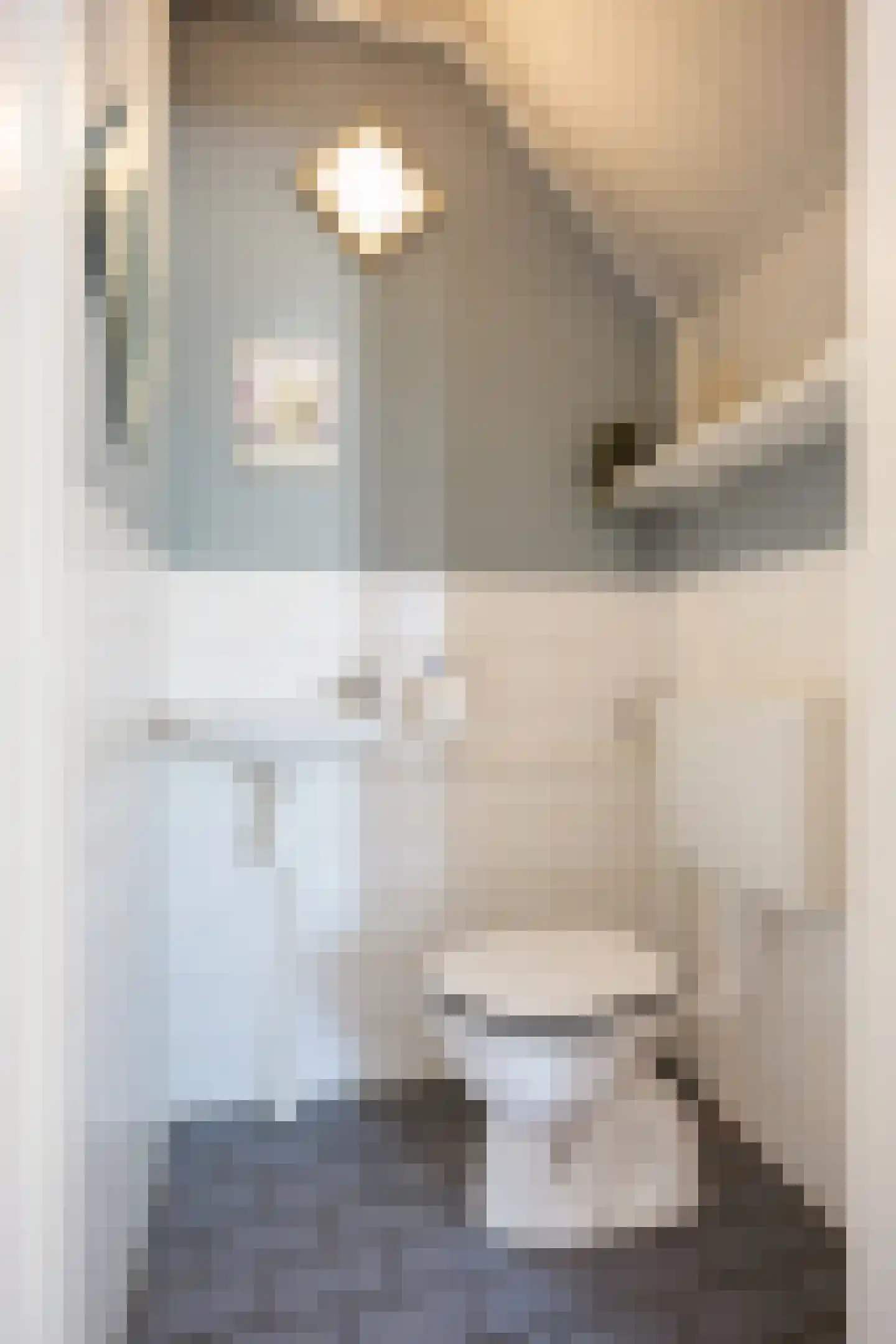 Greinerstraat 30 Groningen thumbnail 11