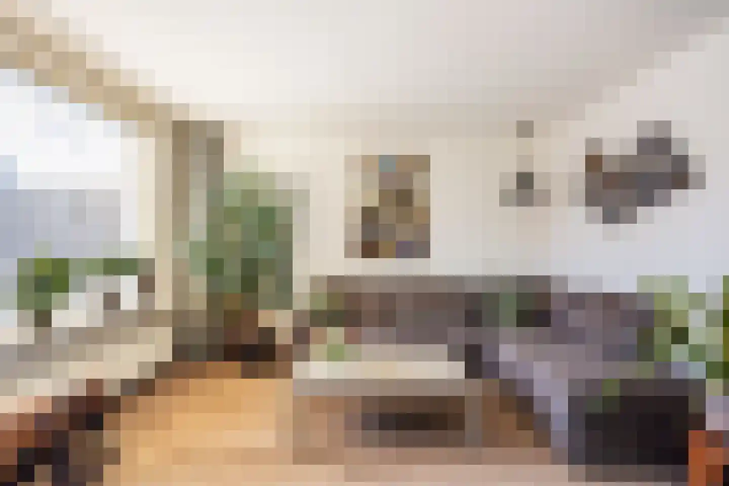 Greinerstraat 30 Groningen thumbnail 16