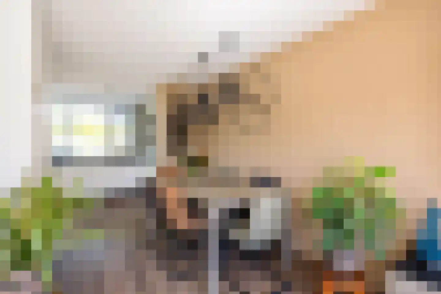Greinerstraat 30 Groningen thumbnail 19