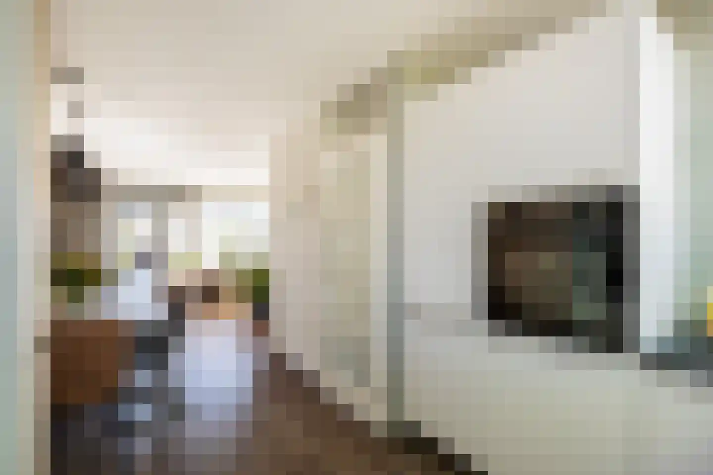 Greinerstraat 30 Groningen thumbnail 25