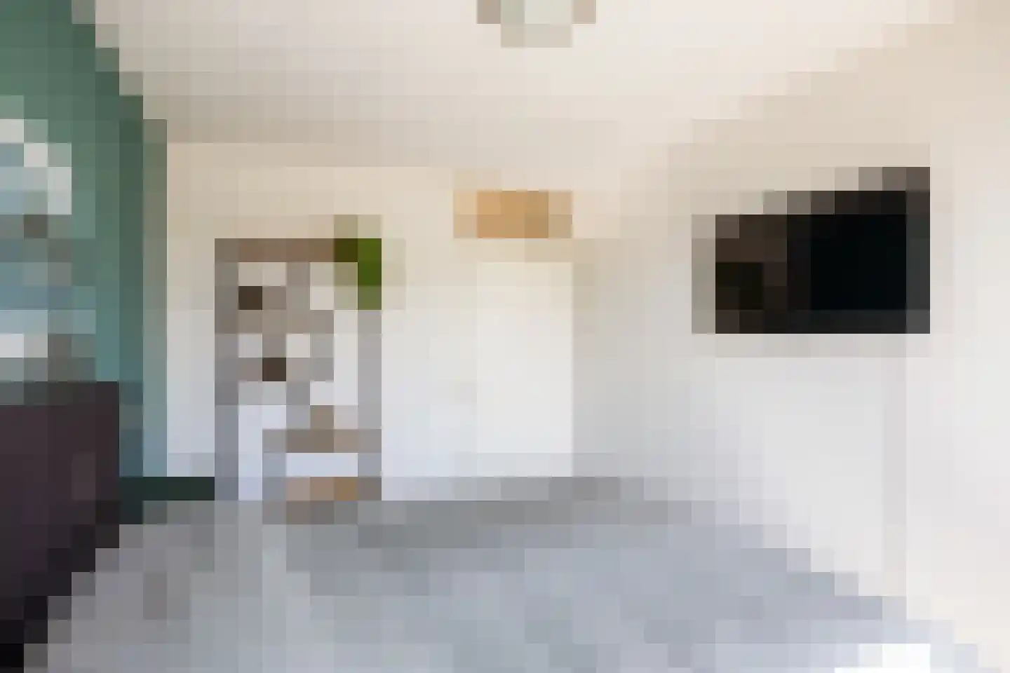 Greinerstraat 30 Groningen thumbnail 32