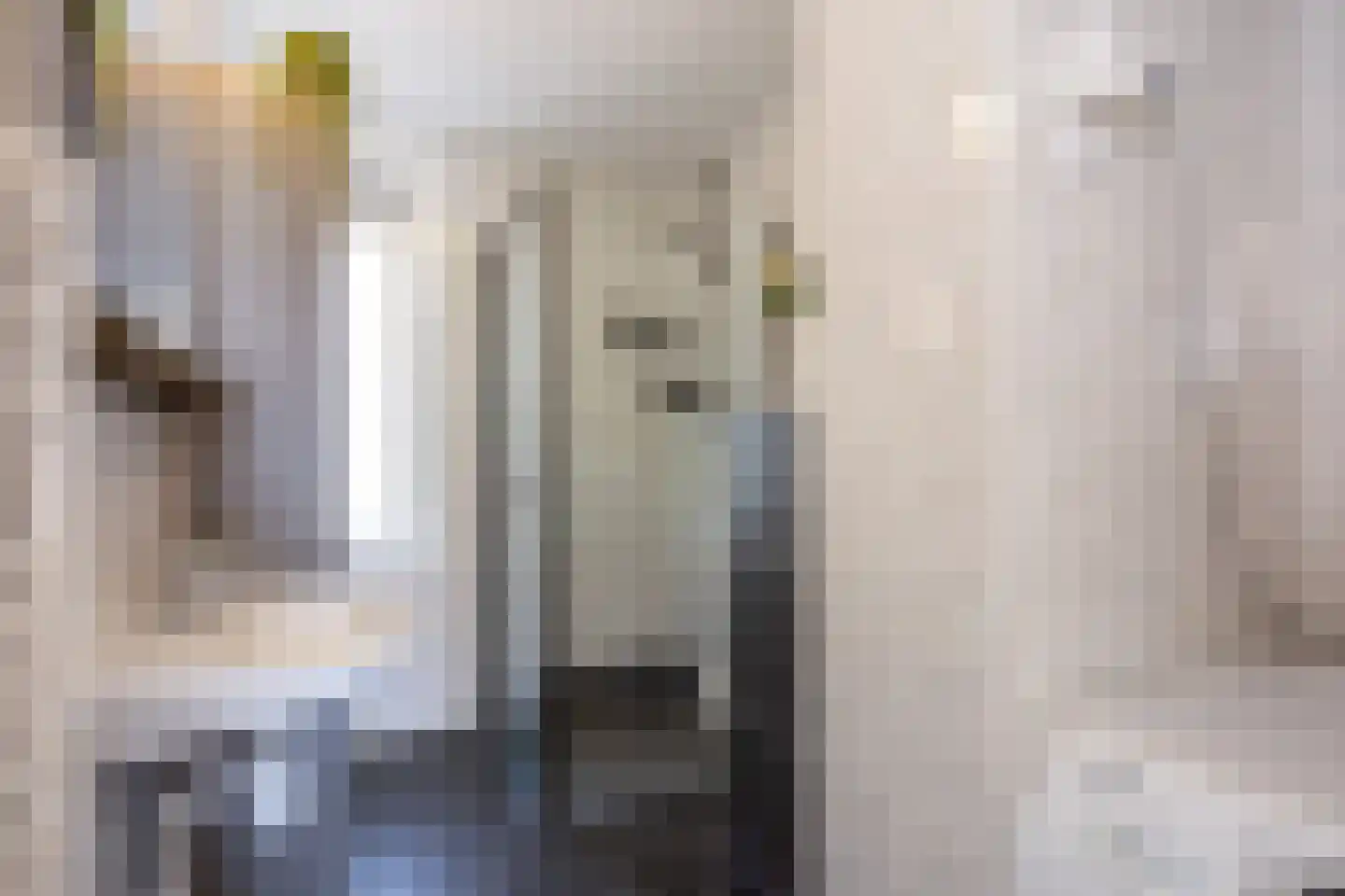 Greinerstraat 30 Groningen thumbnail 35