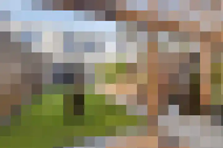 Greinerstraat 6 Groningen thumbnail 19