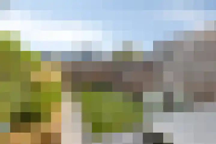 Greinerstraat 6 Groningen thumbnail 20