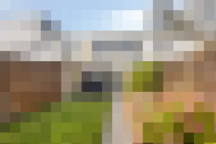 Greinerstraat 6 Groningen thumbnail 22