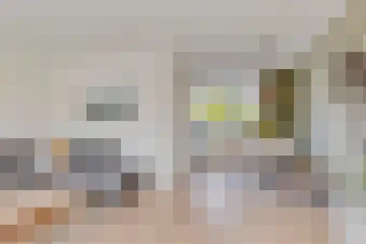 Greinerstraat 6 Groningen thumbnail 4