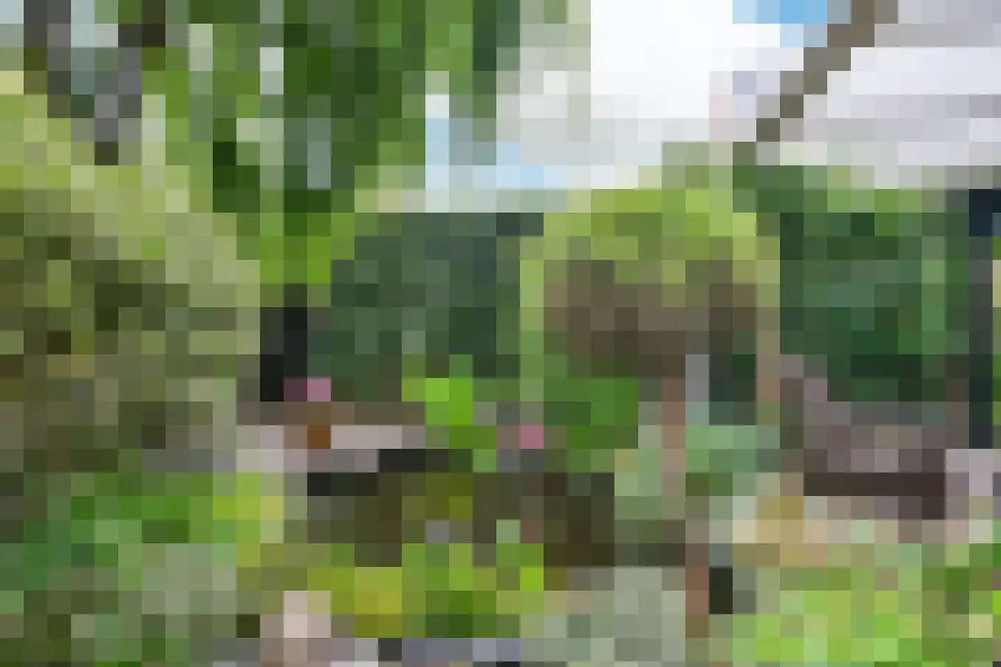 Grenadierspoort 26 Nieuw-Vennep thumbnail 18