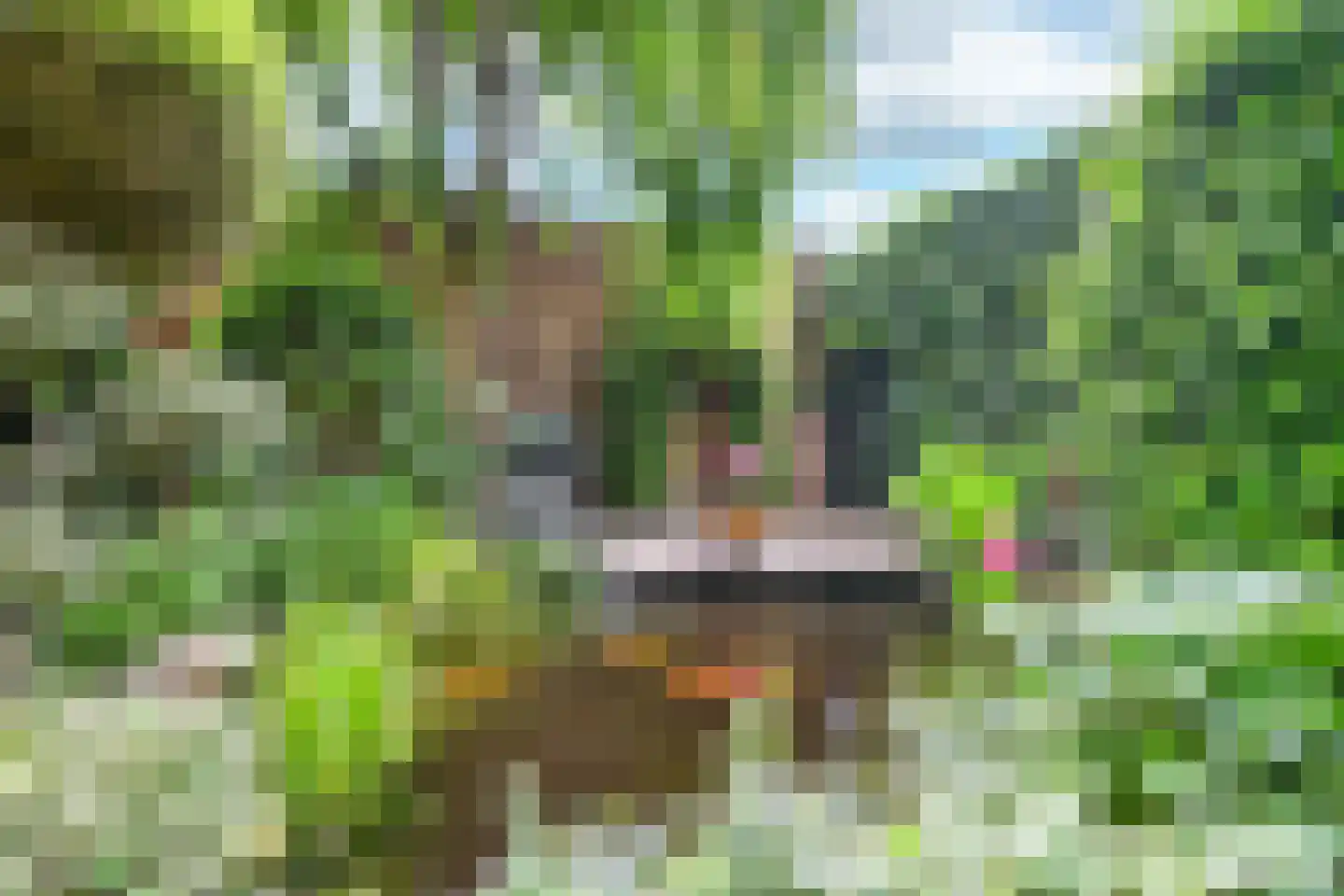 Grenadierspoort 26 Nieuw-Vennep thumbnail 19