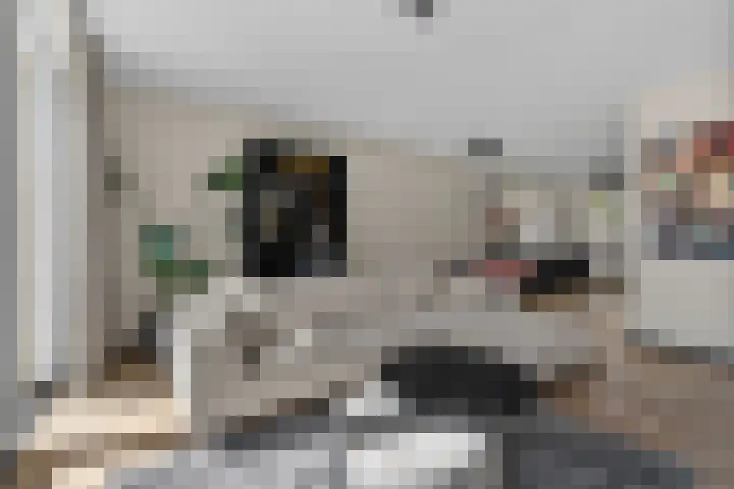 Grenenhout 11 Waddinxveen thumbnail 9