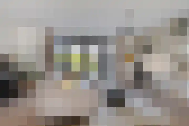 Grenenhout 15 Eindhoven thumbnail 10