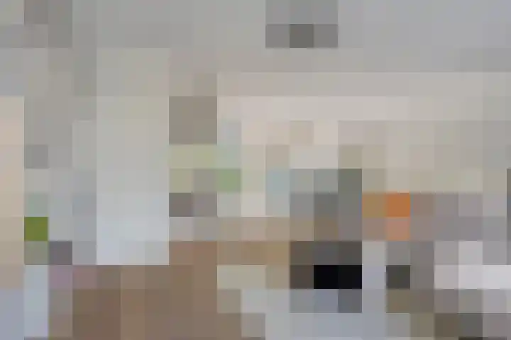 Grenenhout 15 Eindhoven thumbnail 11