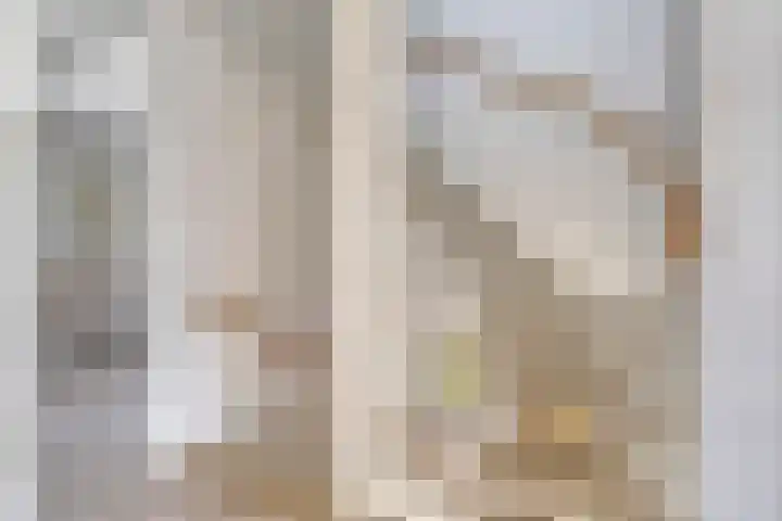 Grenenhout 15 Eindhoven thumbnail 17