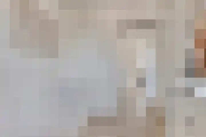 Grenenhout 15 Eindhoven thumbnail 23