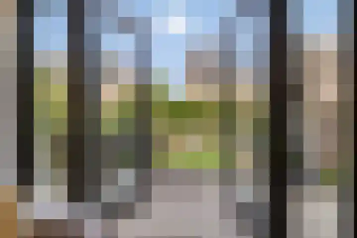 Grenenhout 15 Eindhoven thumbnail 28