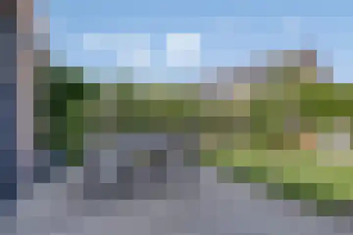 Grenenhout 15 Eindhoven thumbnail 29