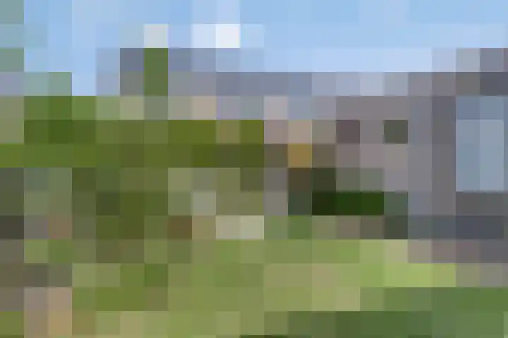 Grenenhout 15 Eindhoven thumbnail 30