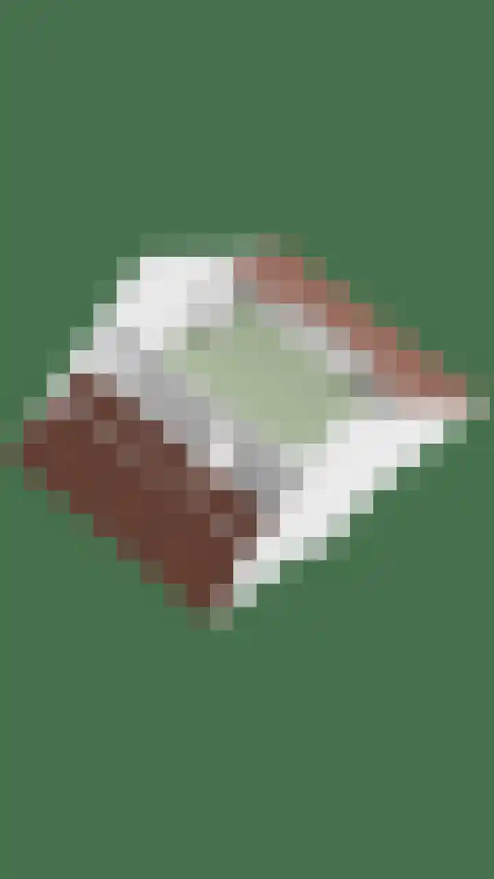 Grenenhout 15 Eindhoven thumbnail 39
