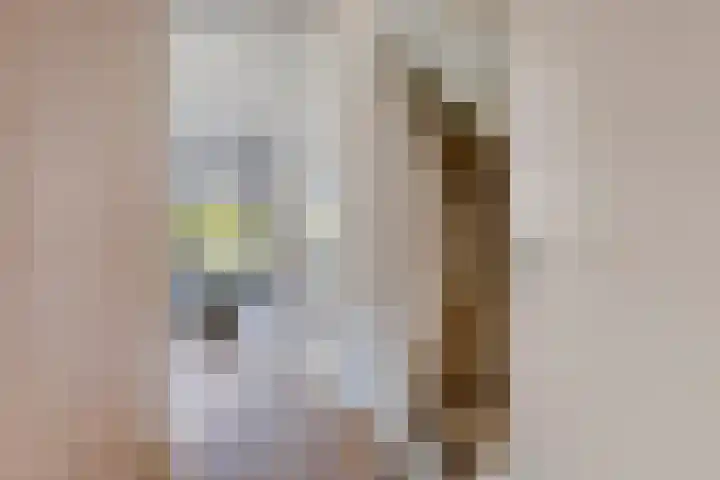 Grenenhout 15 Eindhoven thumbnail 8