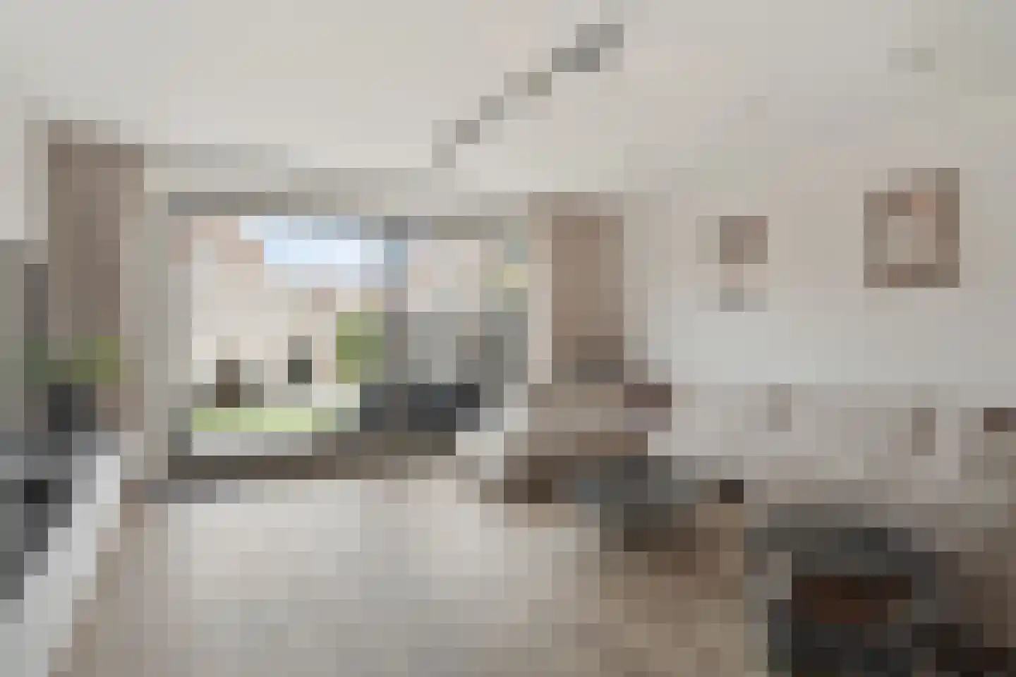 Grenenhout 16 Waddinxveen thumbnail 12