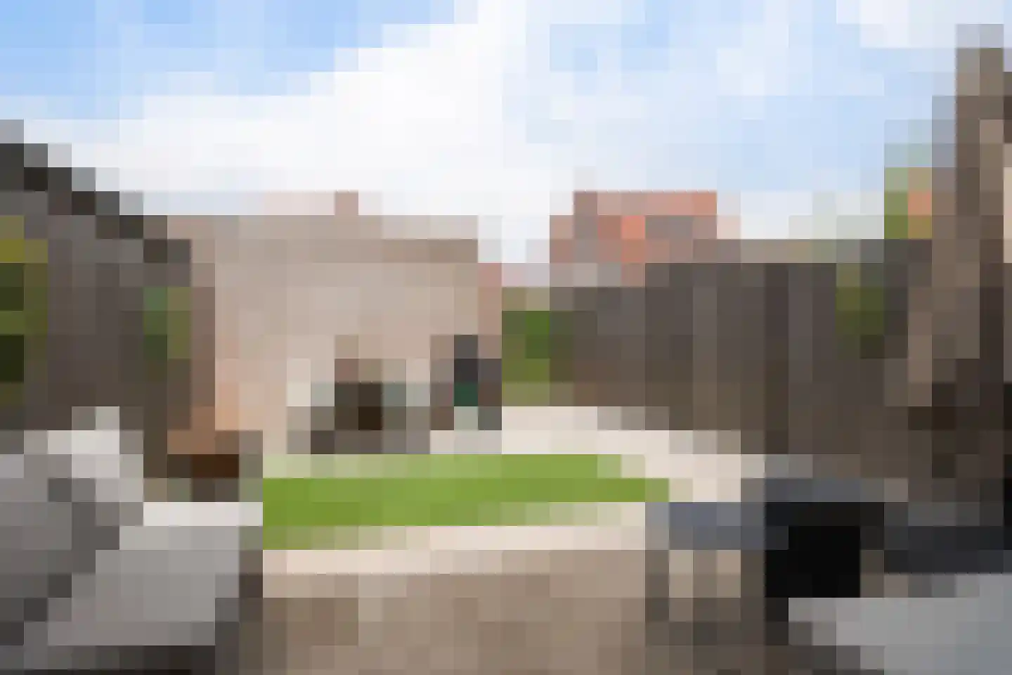 Grenenhout 16 Waddinxveen thumbnail 23
