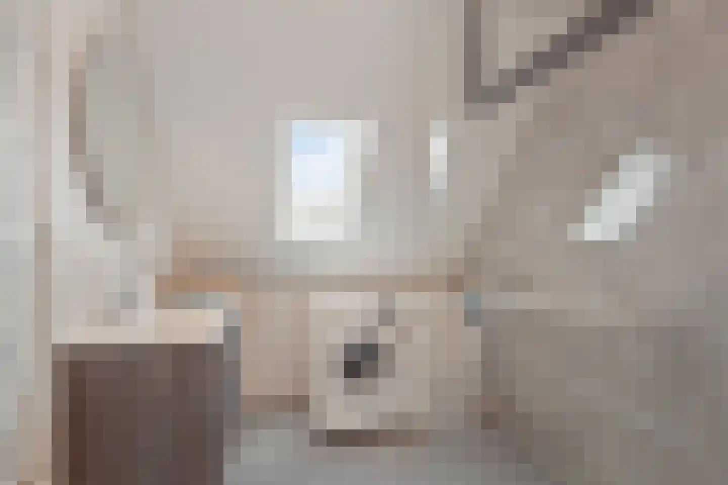 Grenenhout 16 Waddinxveen thumbnail 33