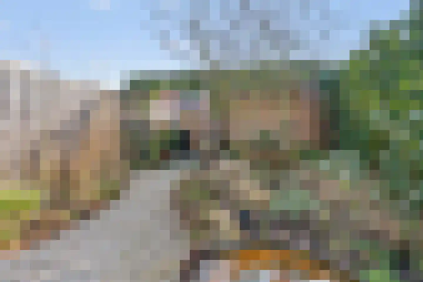 Grenenhout 17 Waddinxveen thumbnail 18