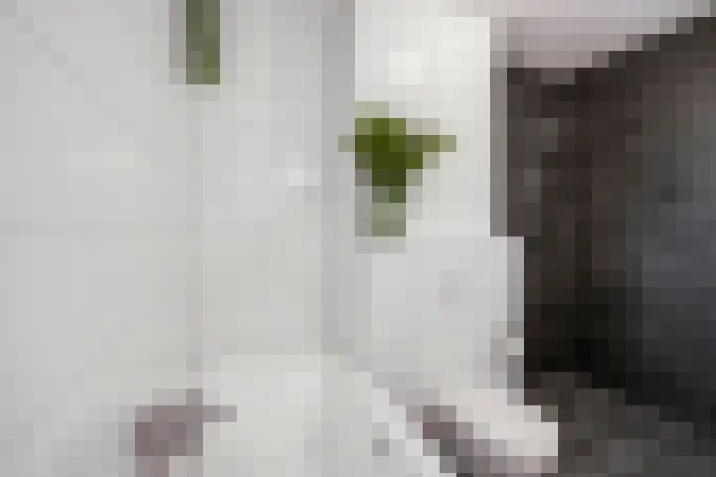 Grenenhout 24 Eindhoven thumbnail 12