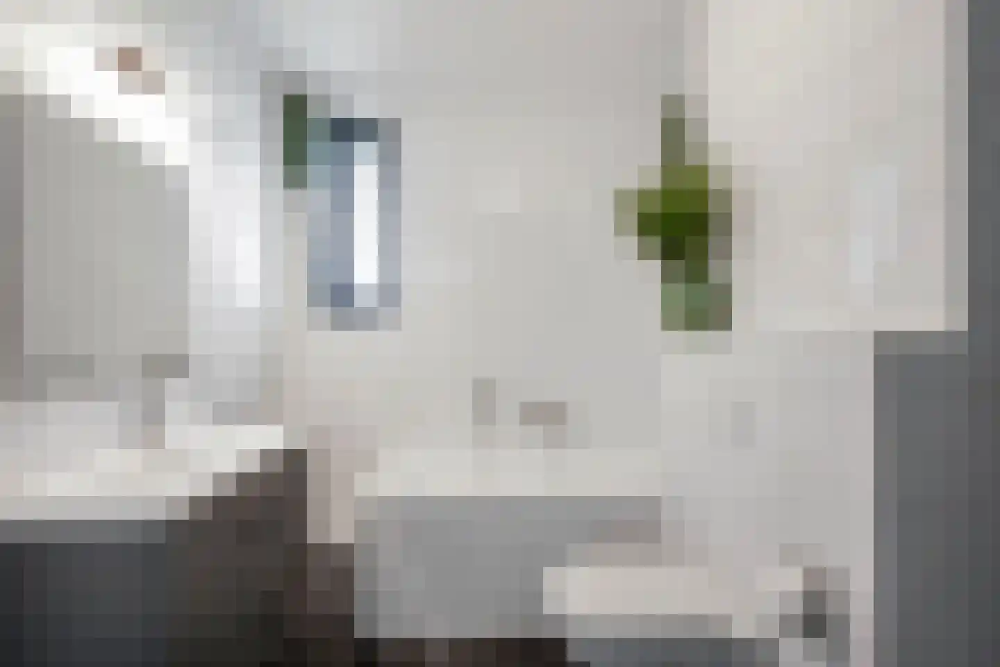 Grenenhout 24 Eindhoven thumbnail 15