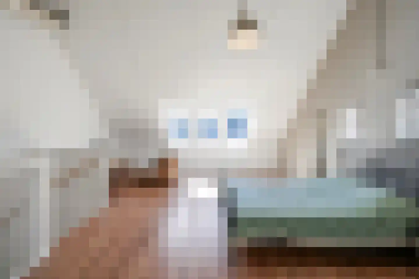 Grenenhout 24 Eindhoven thumbnail 18
