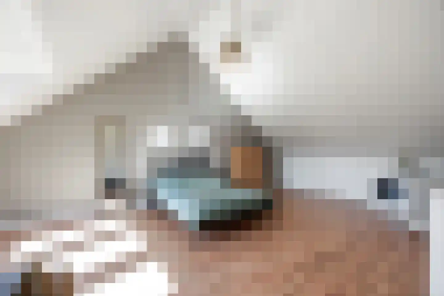 Grenenhout 24 Eindhoven thumbnail 25