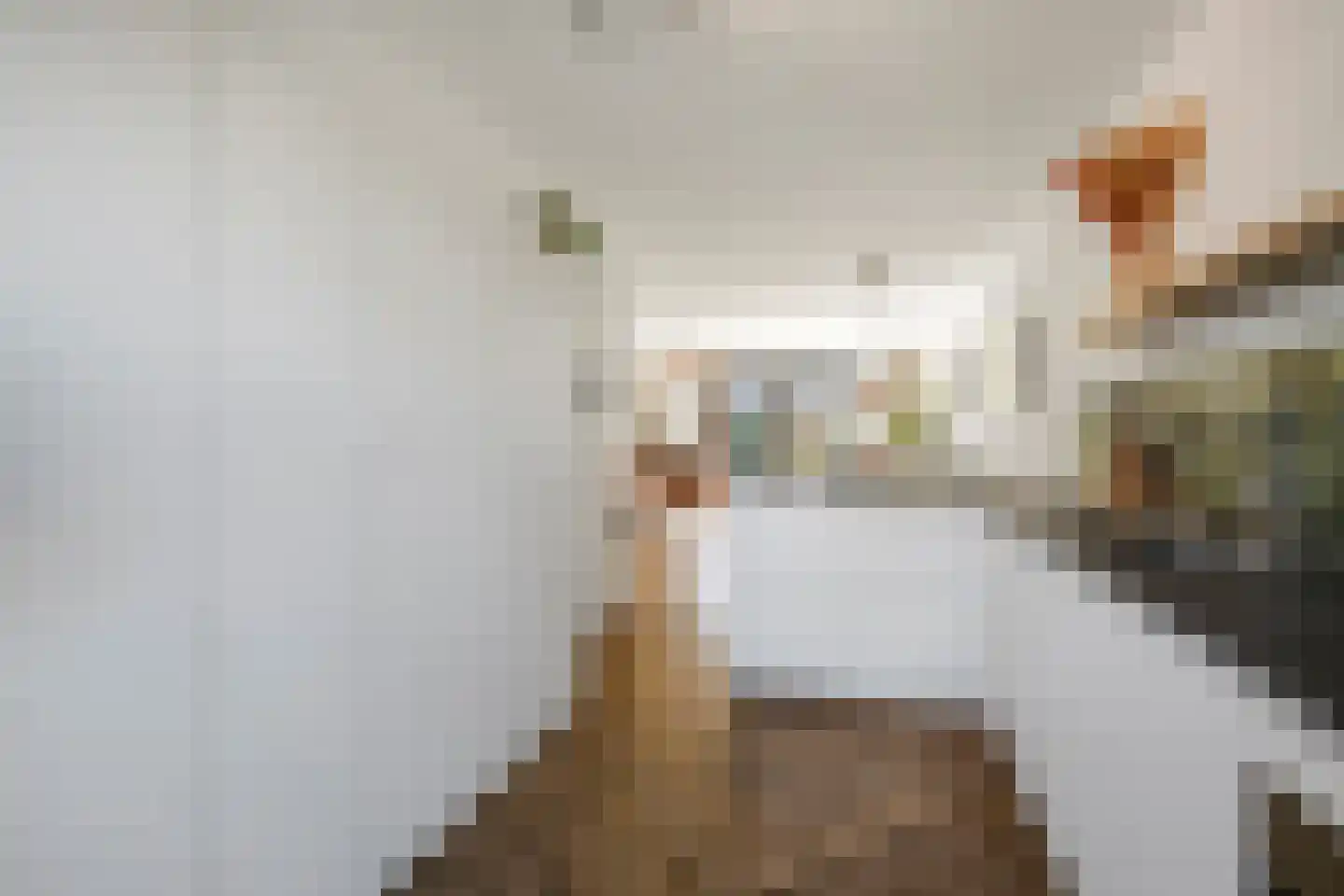 Grenenhout 24 Eindhoven thumbnail 33