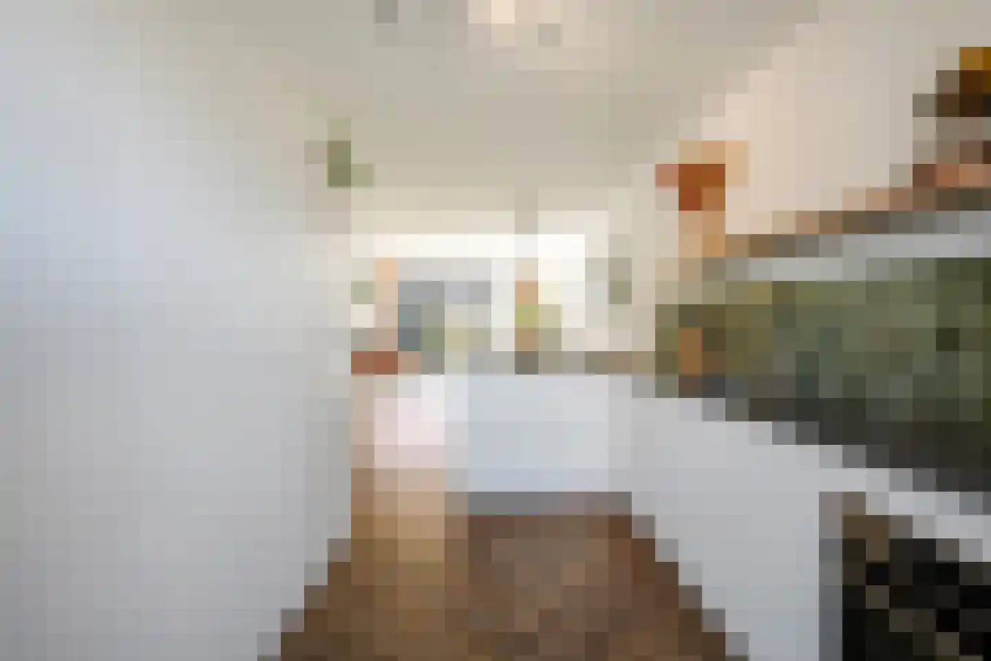 Grenenhout 24 Eindhoven thumbnail 34