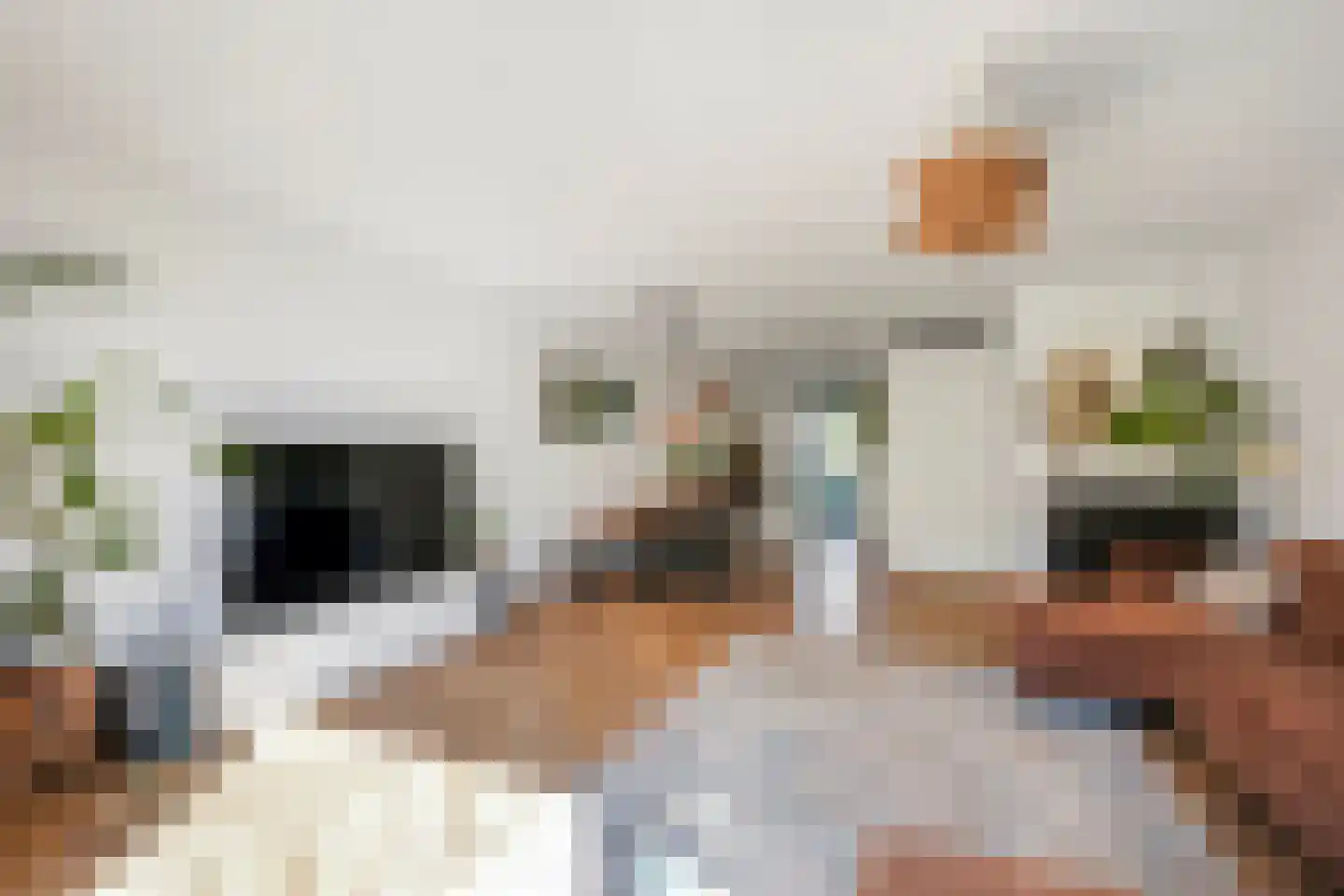 Grenenhout 24 Eindhoven thumbnail 45