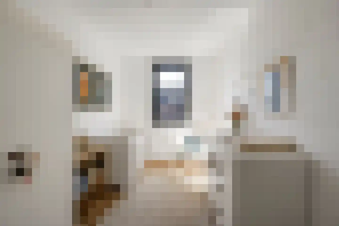 Grenenhout 24 Eindhoven thumbnail 48