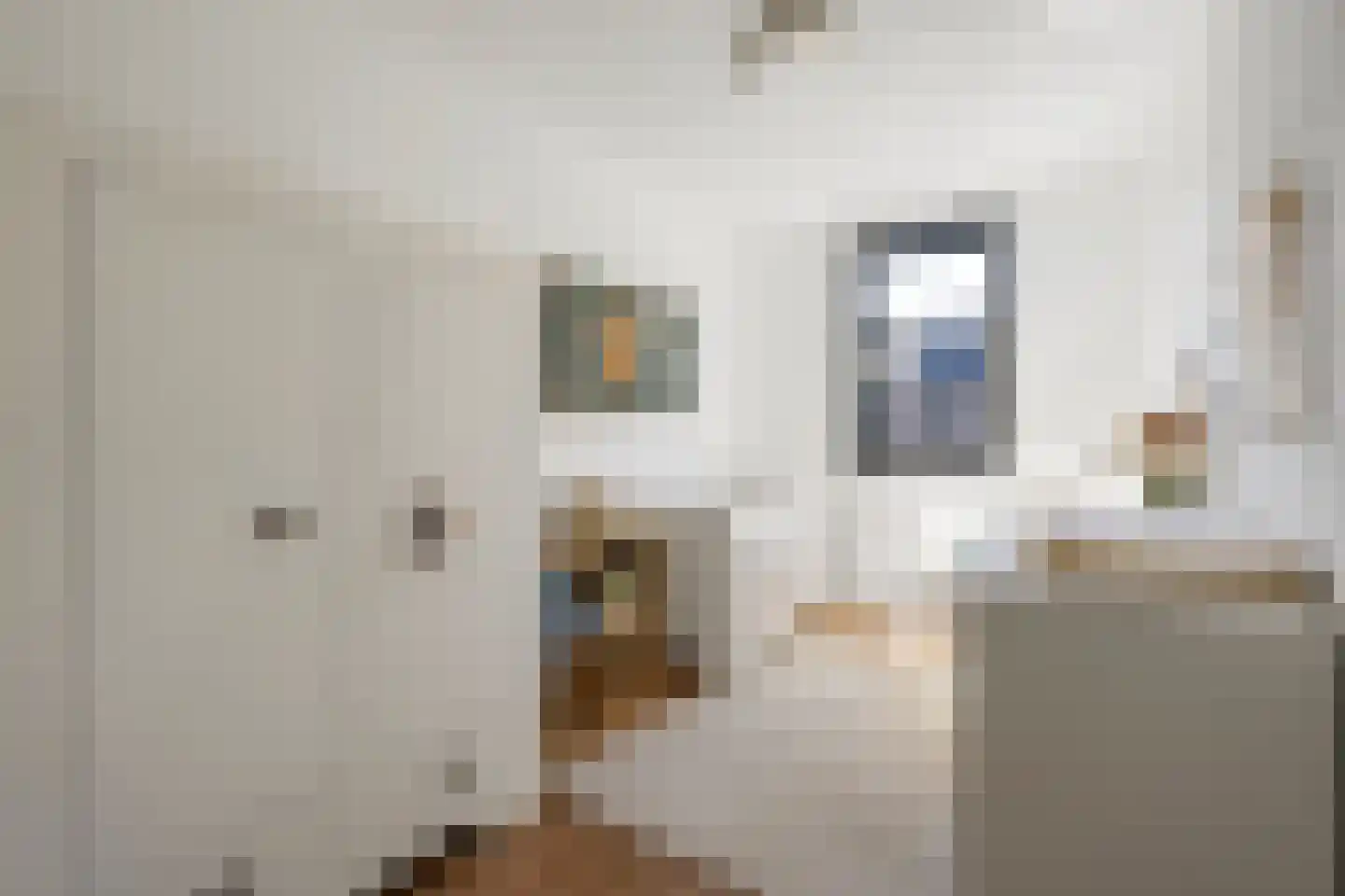 Grenenhout 24 Eindhoven thumbnail 9