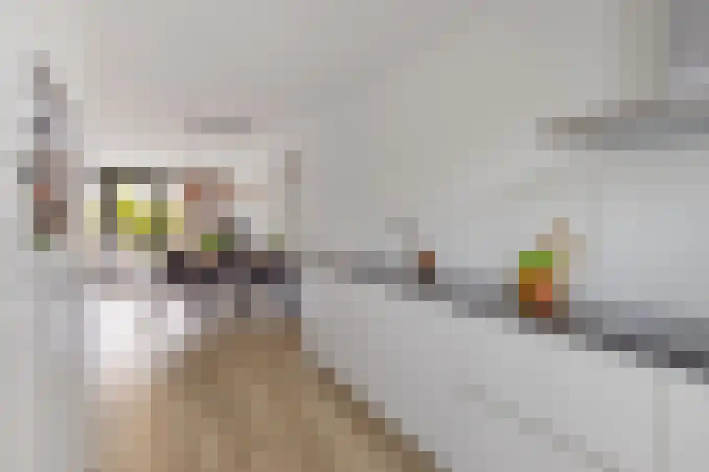 Grenenhout 26 Eindhoven thumbnail 17