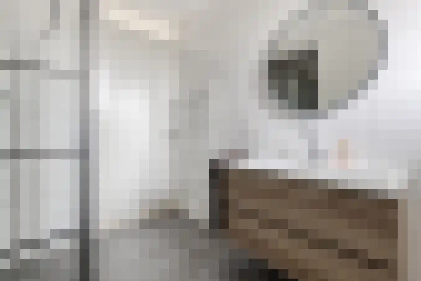 Grenenhout 26 Eindhoven thumbnail 29